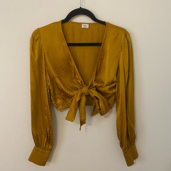 Wilfred Aritzia Gold Crop Top - Picture 2 of 10